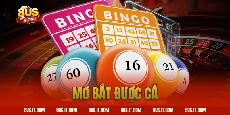 Giải Đáp Nằm Mơ Bắt Được Cá Là Điềm Báo Gì Chi Tiết 8US